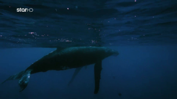 route360_s01_ep18_kolimpi_falaina