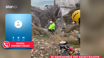 stargr_zina_37xronos_faragi_astoxies_transfer