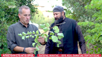 stargr_zina_agio_oros_megalh_trith_transfer