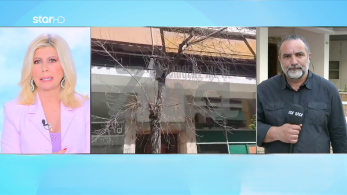 stargr_zina_ampelokhpoi_tsekouri_transfer