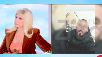 stargr_zina_apathrakomenos_exelixeis_transfer