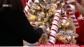 stargr_zina_didima_troxaio_transfer