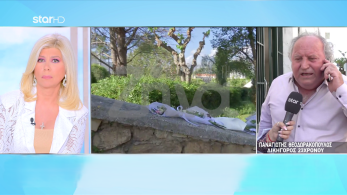 stargr_zina_dikhgoros_23xronou_transfer