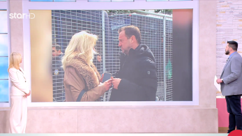 stargr_zina_eikones_dikh_tempi_transfer