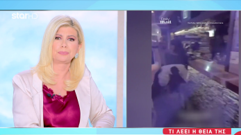 stargr_zina_elvetia_krat_mondana_transfer