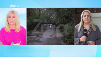 stargr_zina_entalma_trito_prosopo_transfer