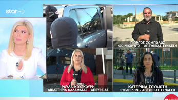 stargr_zina_entalmata_foinikounta