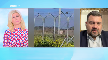 stargr_zina_euthimiopoulos_diethnologos_transfer