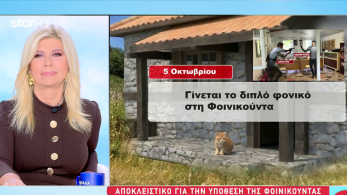 stargr_zina_exelixeis_foinikounta_transfer_1