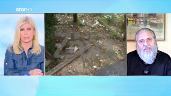 stargr_zina_exelixeis_kakopoihsh_krhth_transfer