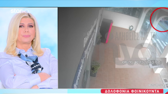 stargr_zina_foinikounta_dioxh_transfer