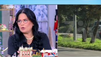 stargr_zina_foinikounta_opla_transfer