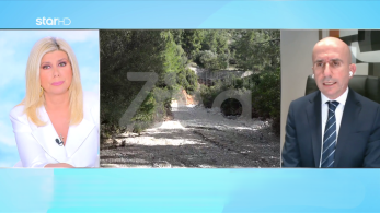 stargr_zina_iatrodikastikh_nea_peramos_transfer