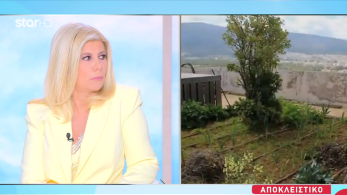 stargr_zina_idiokthths_zoon_taratsa_transfer