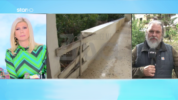 stargr_zina_kakopoihsh_anhlikon_krhth_xamogelo_transfer