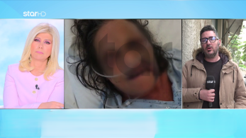 stargr_zina_kakopoihsh_xalkida_new_transfer