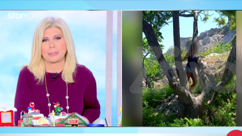 stargr_zina_katatheseis_46xronh_new_transfer