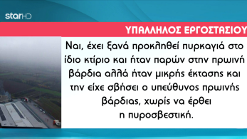 stargr_zina_martyries_ergaton_violanta_transfer