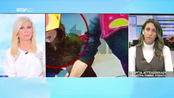 stargr_zina_nea_stoixeia_16xronh