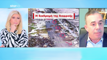 stargr_zina_ntkoumenta_violanta_transfer