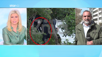 stargr_zina_pispirigou_mpastouni_transfer