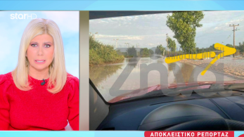 stargr_zina_plymhres_ntaniel_violanta_transfer