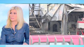 stargr_zina_pragmatognomones_violanta_transfer