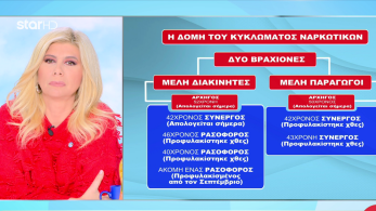 stargr_zina_rasoforos_domh_kyklomatos_transfer