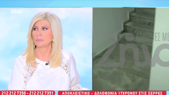 stargr_zina_serres_nea_prosopa_transfer