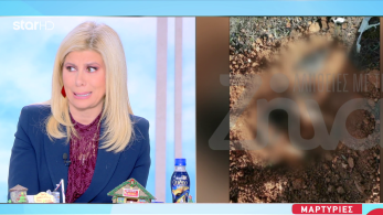 stargr_zina_skylos_nea_mixaniona_transfer