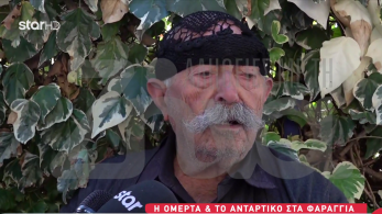 stargr_zina_syggenis_protou_thymatos_vendetas_transfer