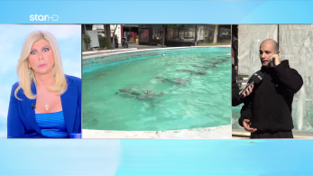 stargr_zina_syntrivani_martyras_transfer