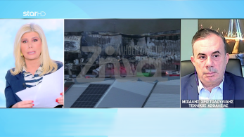 stargr_zina_ypeythinos_vardias_violanta_transfer