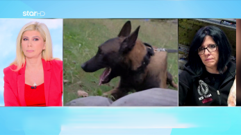 stragr_zina_dhlhthriash_echo_transfer