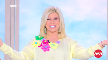 zina_10032026_backup